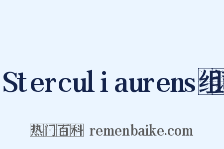 Sterculiaurens组词是什么意思的图片